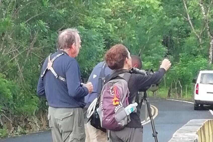 Birdwatching Pipeline Road Starting from Cruise Port Colon 2000 