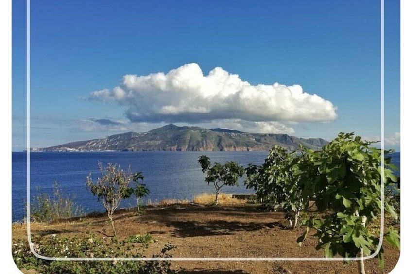 Discover Salina with Map Local Tips and Info on All Aeolian Islands