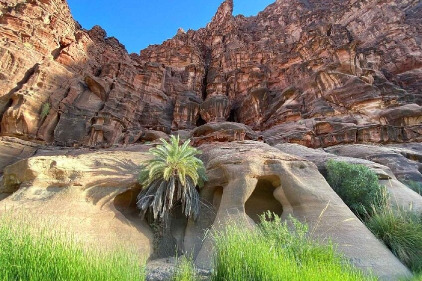 Picture 2 for Activity Wadi Al Disah Day Tour From Al Ula