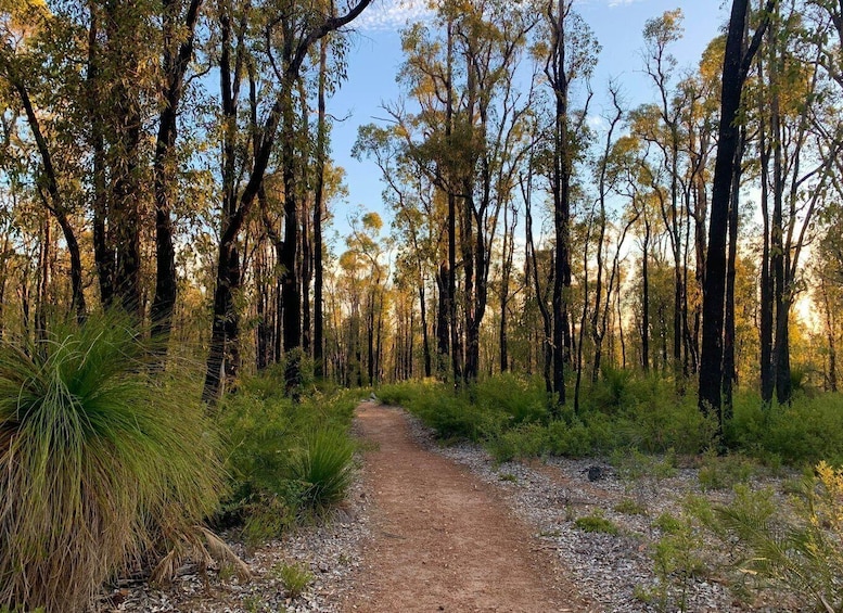 Picture 4 for Activity Darling Range Twilight Wander