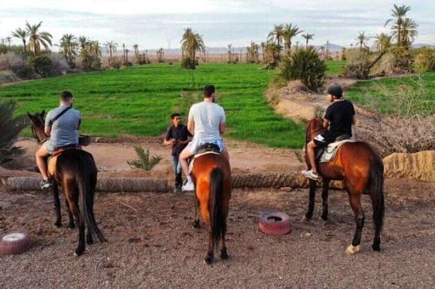 2-Hour Horseback Riding Adventure in Palmeraie Grove – Marrakesh