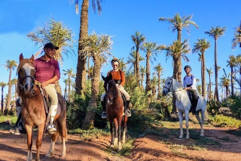 2-Hour Horseback Riding Adventure in Palmeraie Grove – Marrakesh