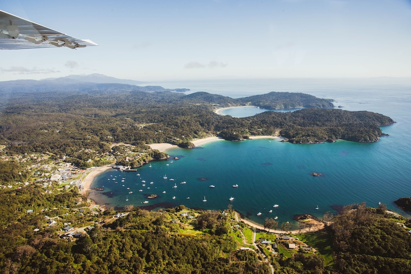 Stewart Island Fly Explore Fly