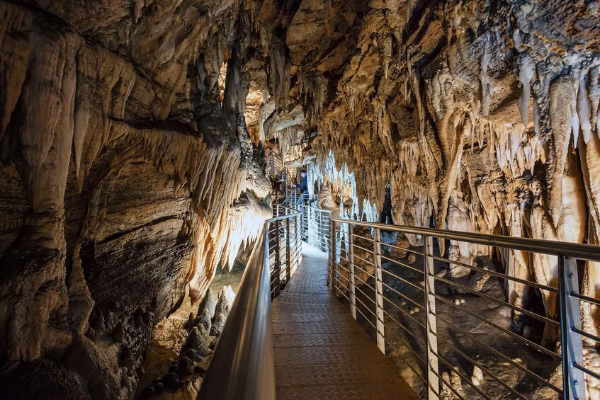 visit to the cave Antro del Corchia