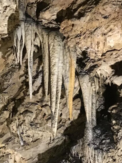 Picture 3 for Activity visit to the cave Antro del Corchia
