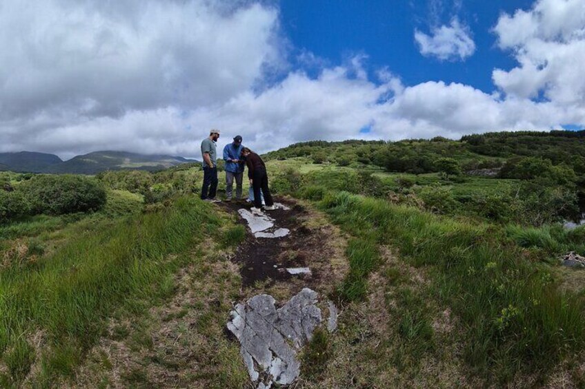 Ring of Kerry