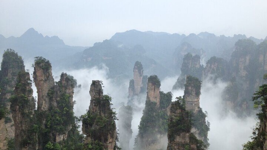Full Day Tour at Zhangjiajie National Forest Park by Locals