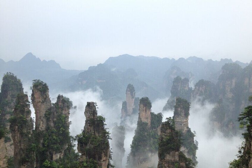 Full Day Tour at Zhangjiajie National Forest Park by Locals 