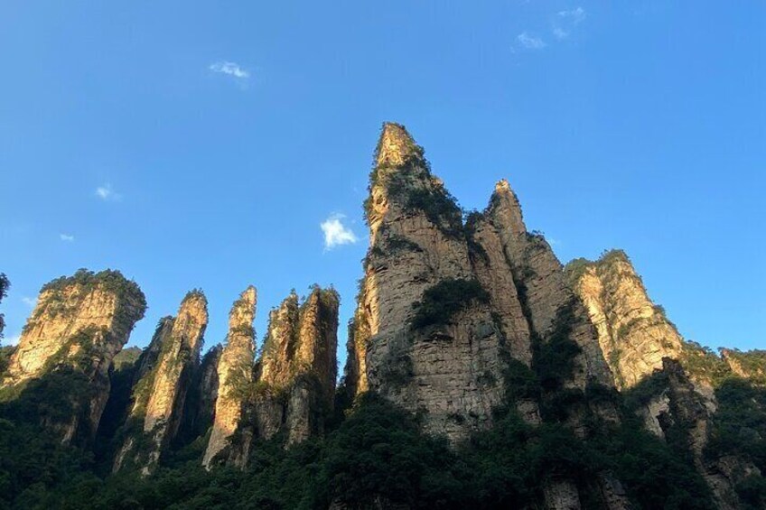 Full Day Tour at Zhangjiajie National Forest Park by Locals 