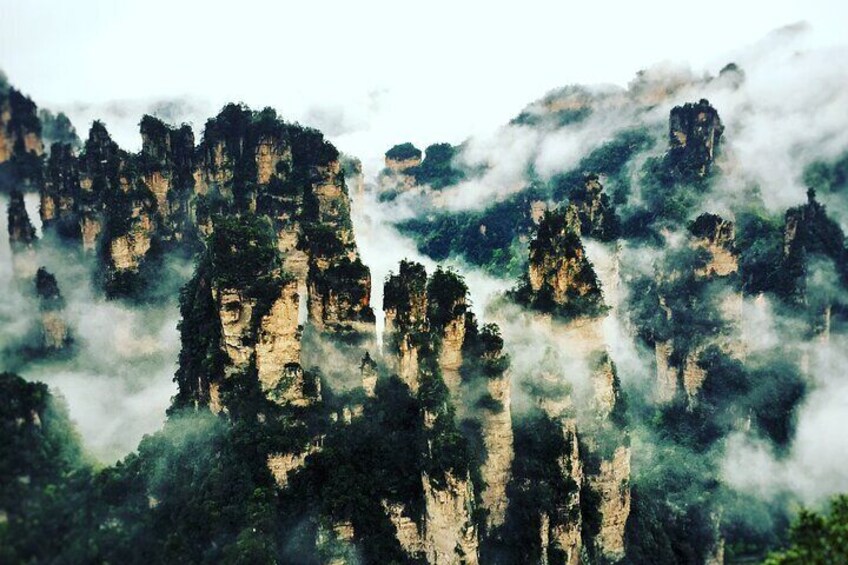 Full Day Tour at Zhangjiajie National Forest Park by Locals 
