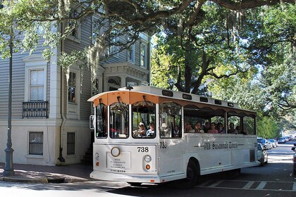 Old Savannah Historic Overview Trolley Tour