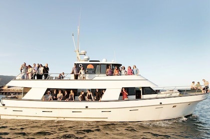 Whale and Wildlife Yacht Cruise in Santa Barbara