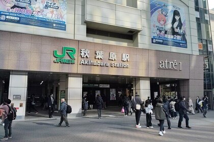 Tokyo: Akihabara Otaku Tour - 1.5h Guided Shopping