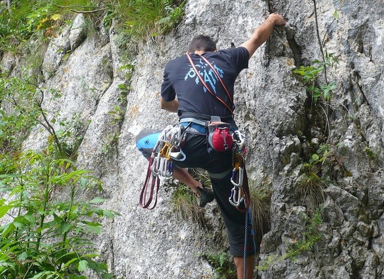 BV05-Private Hiking Tour and Bear Watching: Piatra Craiului