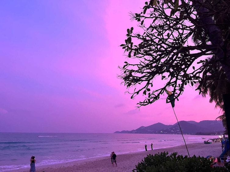 Exclusive Gazebo Dining under the Stars on Chaweng Beach