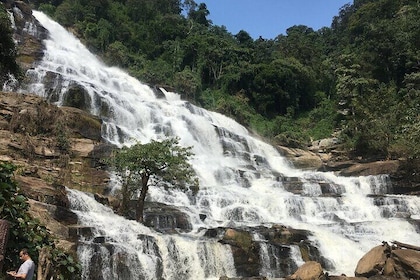 Chiang Mai Doi Inthanon National Park Day Tour