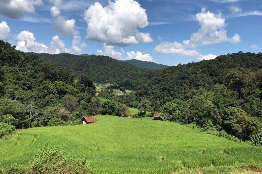 The green rice terrace in rainy season at Ban Mae KlangLuang.