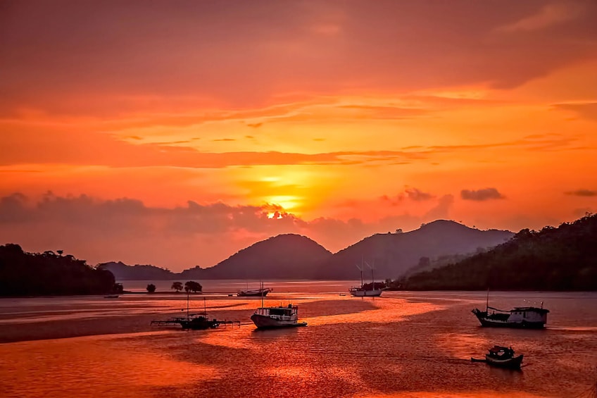Full Day Trip Labuan Bajo By East Cruise