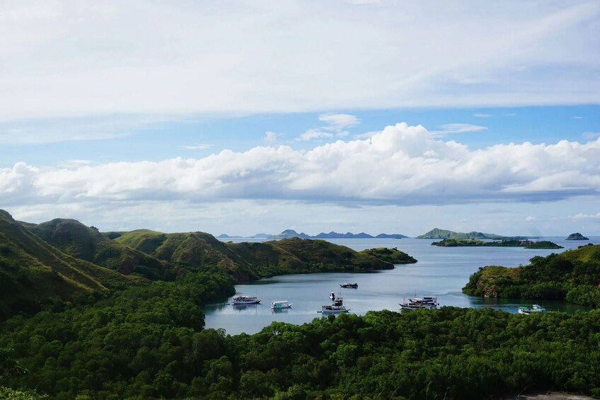 Full Day Trip Labuan Bajo By East Cruise