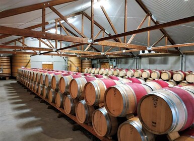 Marlborough: Full-Day Wine Tour