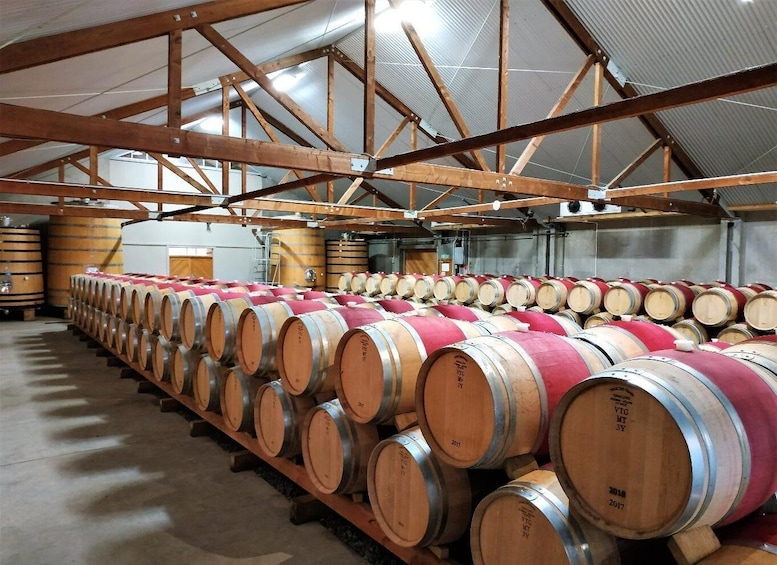 Marlborough: Full-Day Wine Tour