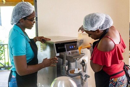 Barbados Fruit to Scoop Culinary Experience : Taste & Make Sorbet