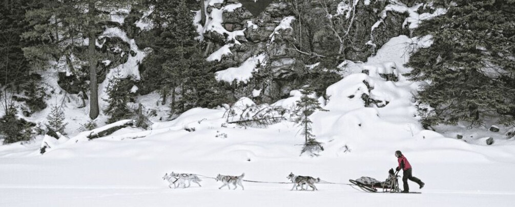 Picture 1 for Activity Haliburton: Dog Sledding Adventure