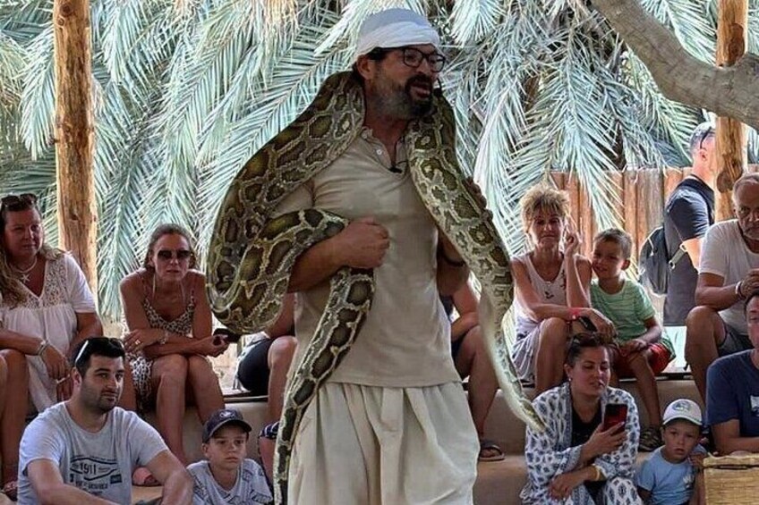 Djerba Tunisia Guided Tour To The Crocodiles Park