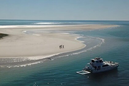 Freedom Skippered Boat Charter Half Day K'gari and Hervey Bay