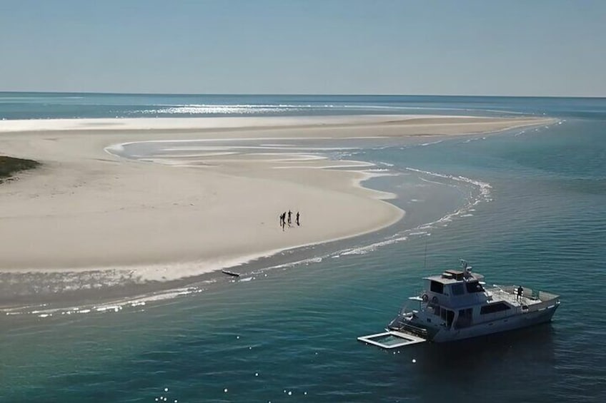 Freedom Skippered Boat Charter Half Day K'gari and Hervey Bay