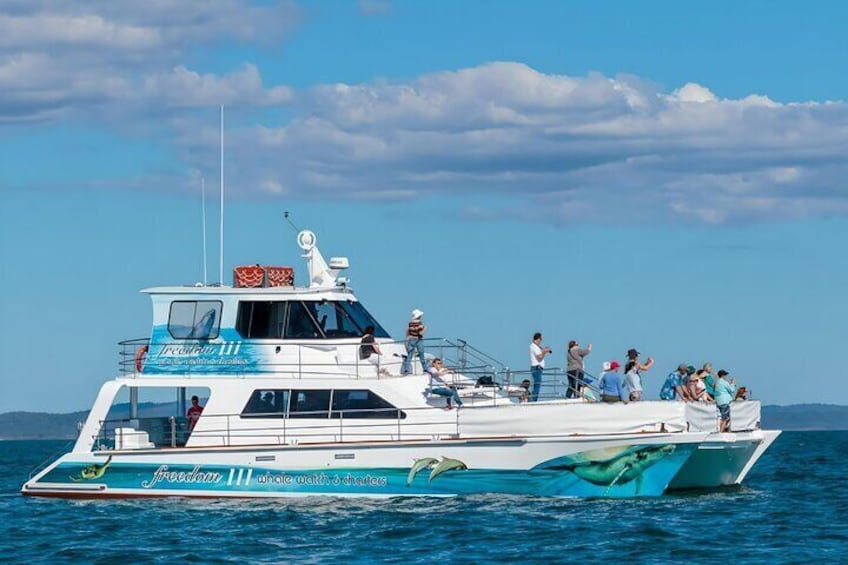 Freedom Skippered Boat Charter Half Day K'gari and Hervey Bay