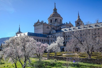 From Madrid: EL Escorial Monastery Private Tour with Hotel Pickup