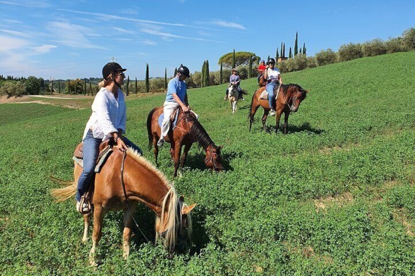 Adventure on horseback in the Tuscan countryside