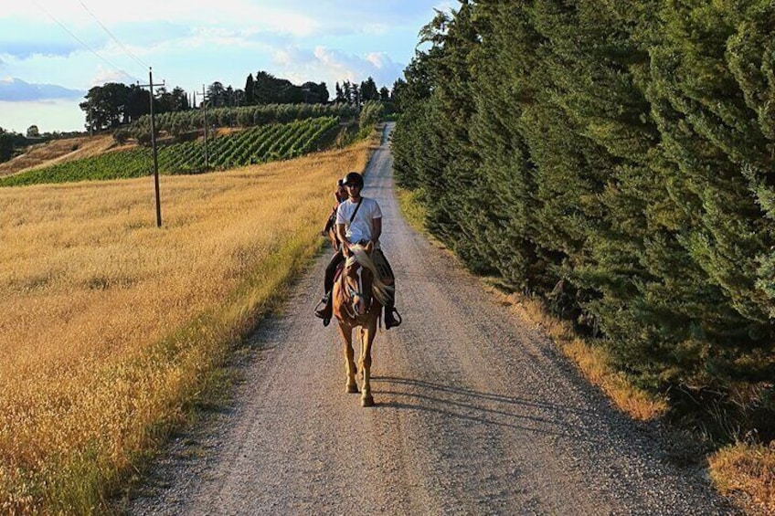 Adventure on horseback in the Tuscan countryside