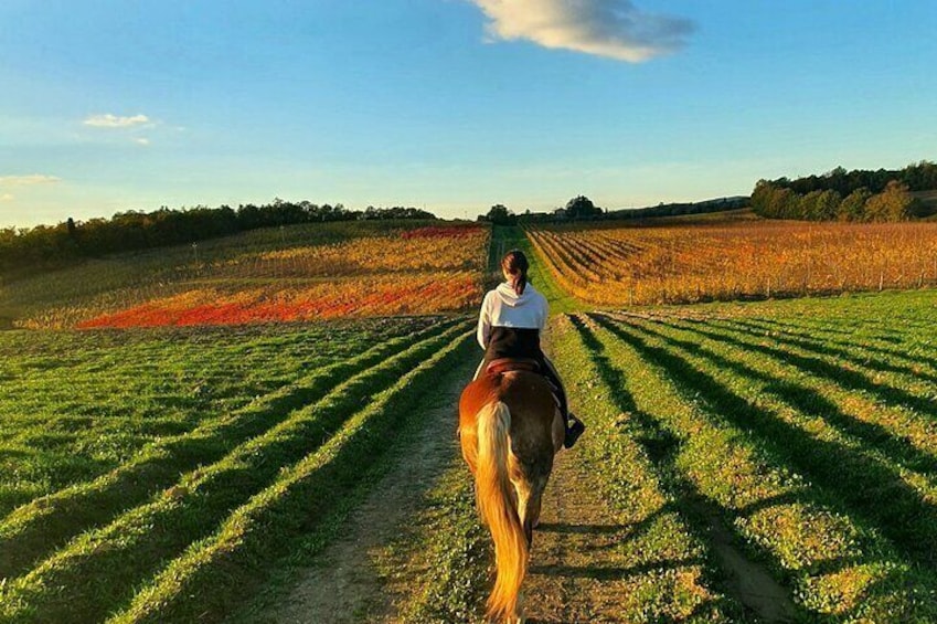 Adventure on horseback in the Tuscan countryside