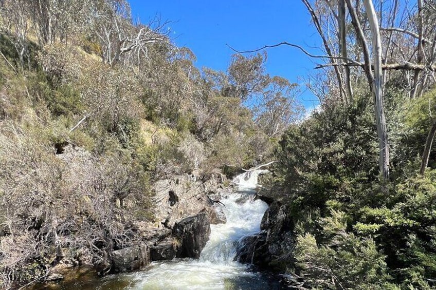 Snowy Mountains NSW Private Tour 3 Days