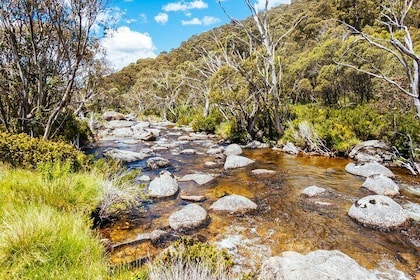 Snowy Mountains NSW Private Tour 3 Days - Pick up & Drop off