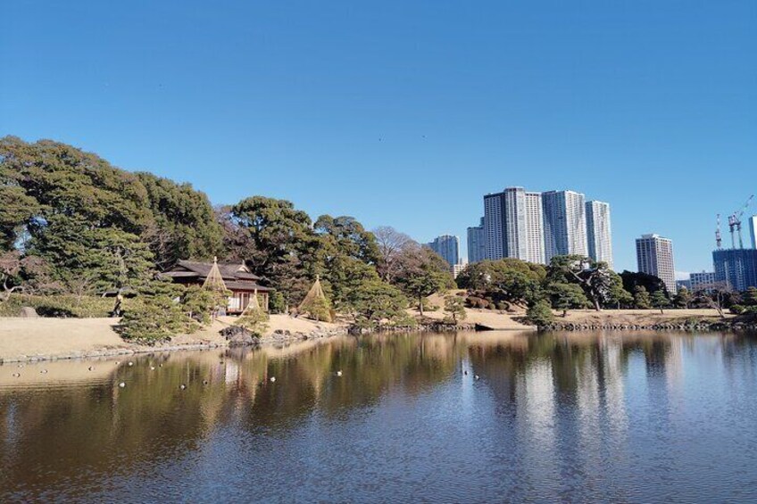 Hama Rikyu Private Tokyo Walking Experience