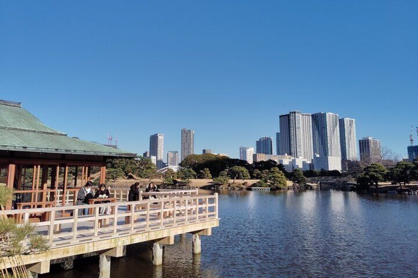 Hama Rikyu Private Tokyo Walking Experience