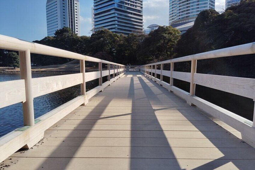 Hama Rikyu Private Tokyo Walking Experience