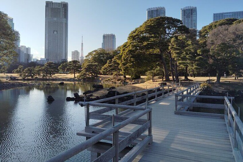 Hama Rikyu Private Tokyo Walking Experience