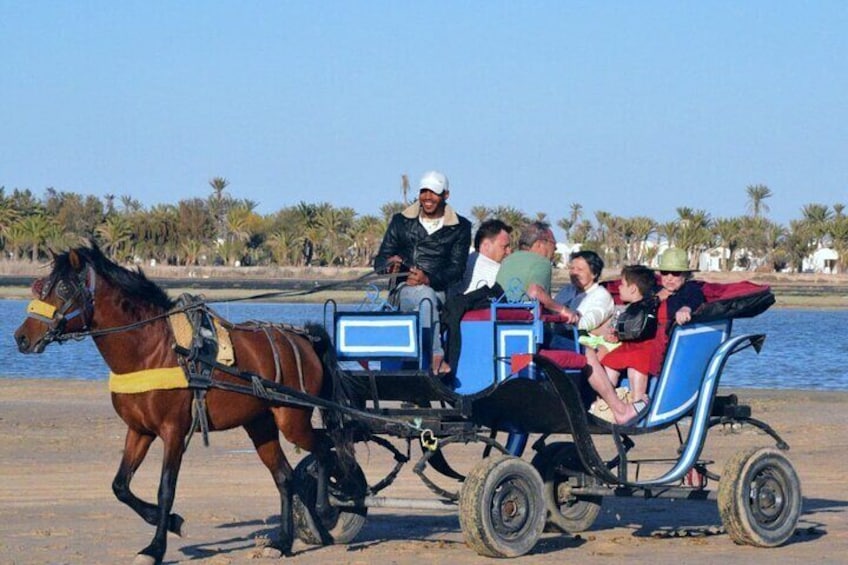 Promonede in a carriage to Crocodile Park in Djerba 