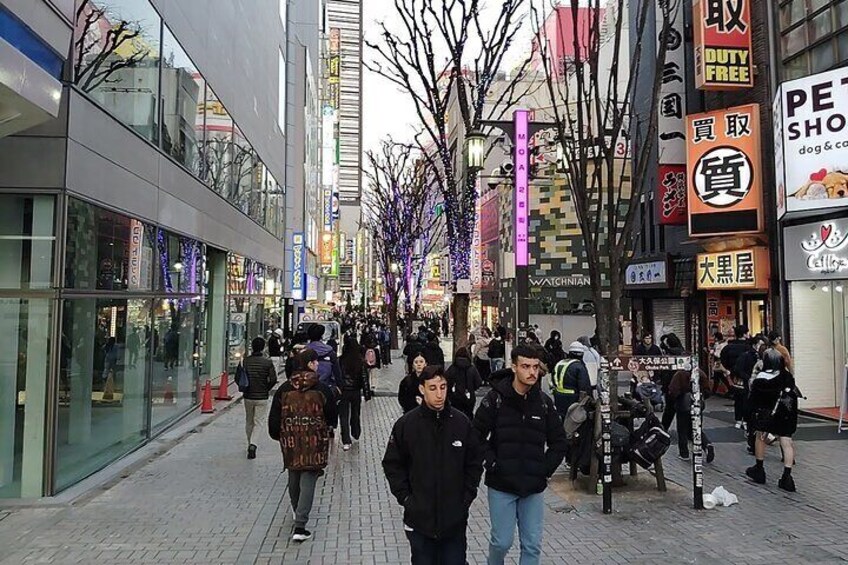 Tokyo City guided tour to Shinjyuku and Shibuya 