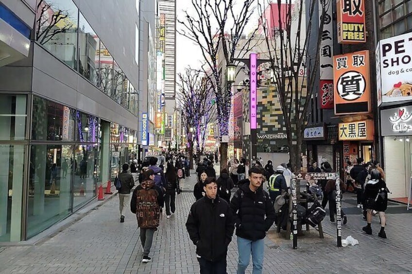 Tokyo City guided tour to Shinjyuku and Shibuya