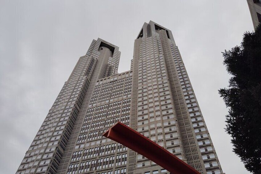 Tokyo City guided tour to Shinjyuku and Shibuya 