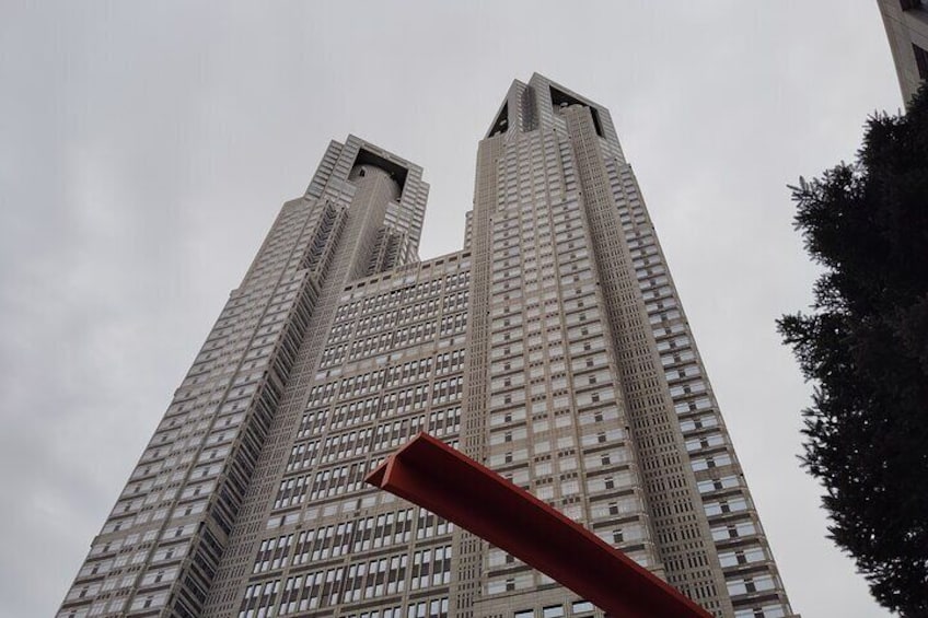 Tokyo City guided tour to Shinjyuku and Shibuya