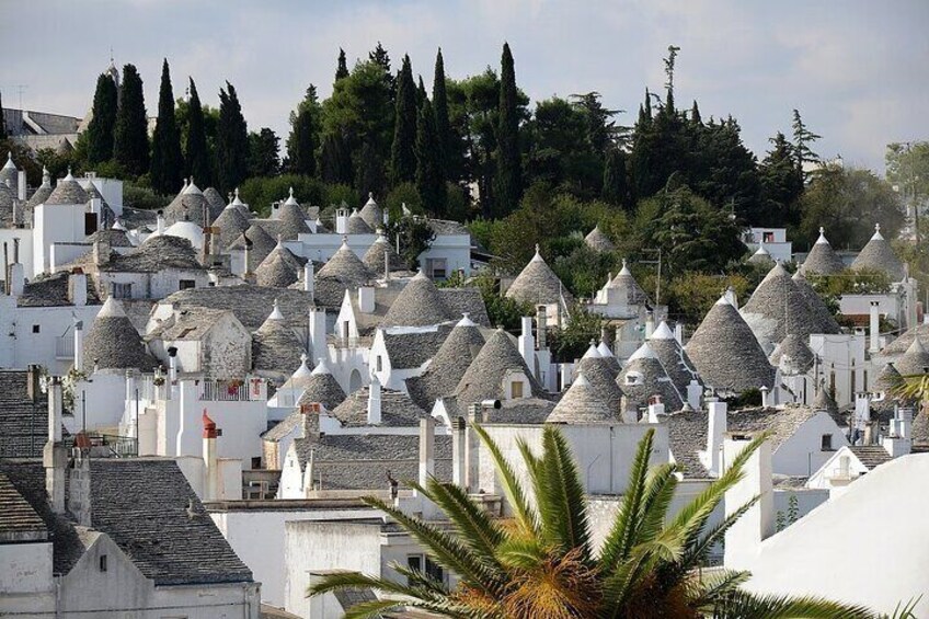 Guided Tour of Alberobello with Transport from Polignano a Mare