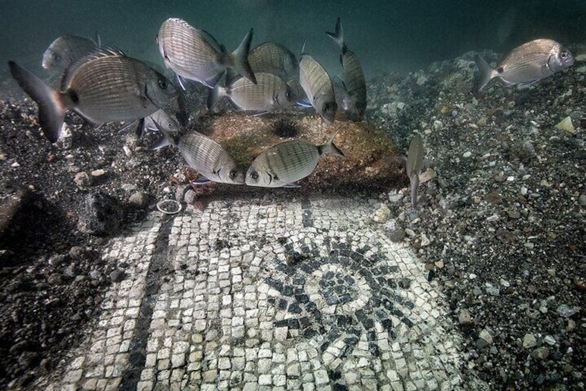 Saraghi on a detail of the Pisces mosaic at the Villa in Protiro