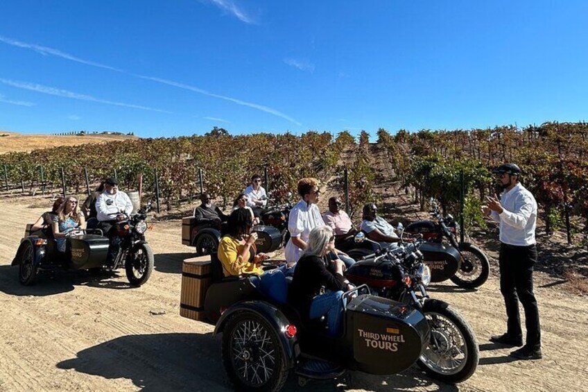 Vineyard Rides San Luis Obispo Sidecar Wine Adventure