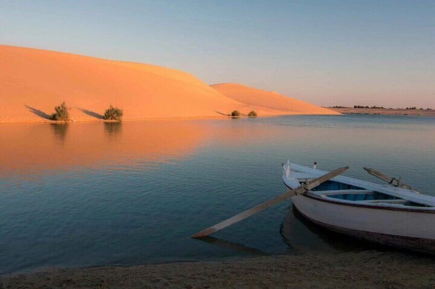 Fayoum Oasis and Waterfalls of Wadi El-Rayan Tour